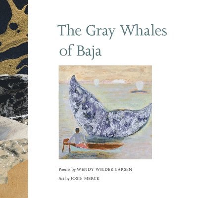 Gray Whales of Baja 1