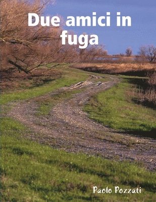 bokomslag Due Amici in Fuga