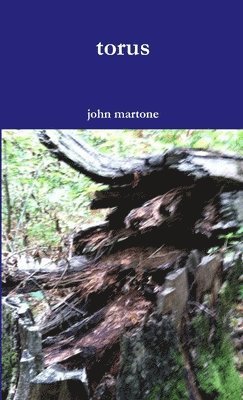 John Martone, john martone - torus, Häftad