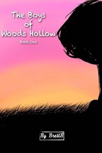 bokomslag Boys of Woods Hollow