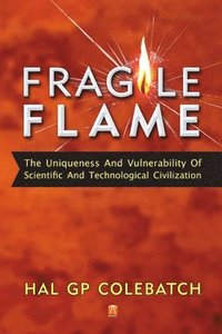 bokomslag Fragile Flame