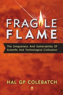 bokomslag Fragile Flame