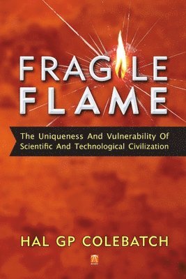 bokomslag Fragile Flame