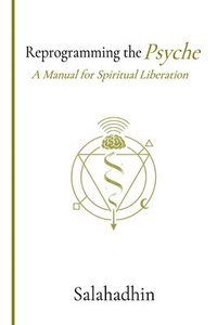 bokomslag Reprogramming the Psyche