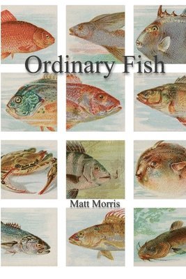 Matt Morris - Ordinary Fish/Watt Worris, Häftad