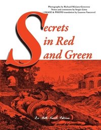 bokomslag Secrets in Red and Green