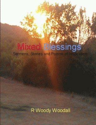 bokomslag Mixed Blessings