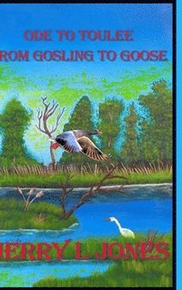 bokomslag Ode To Toulee - From Gosling To Goose