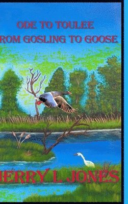 Ode To Toulee - From Gosling To Goose 1