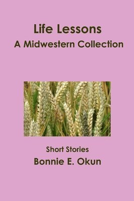 bokomslag Life Lessons - A Midwestern Collection