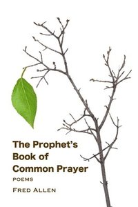 bokomslag The Prophet's Book of Common Prayer