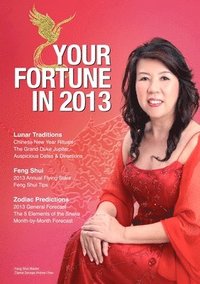 bokomslag Your Fortune in 2013