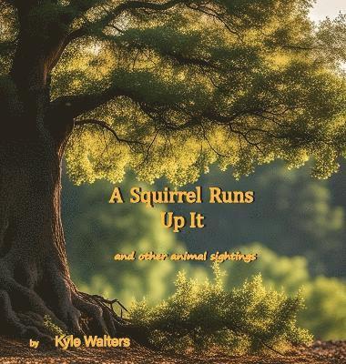 bokomslag Squirrel Runs Up It