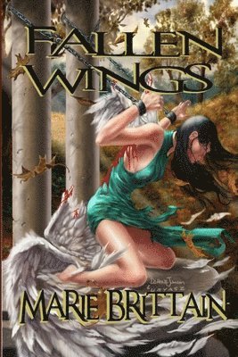 bokomslag Fallen Wings