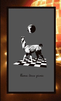 Llama Disco Picnic 1