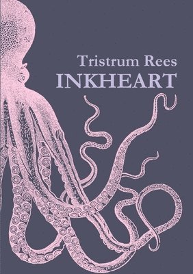Inkheart A5 Paperback 1