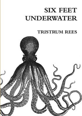 bokomslag Six Feet Underwater A5 Paperback