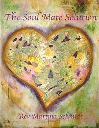 bokomslag The Soul Mate Solution