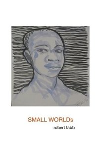 bokomslag SMALL WORLDs