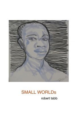 bokomslag SMALL WORLDs