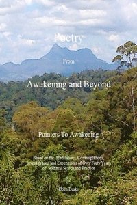 bokomslag Poetry From Awakening and Beyond