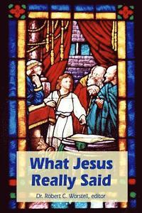 bokomslag What Jesus Really Said