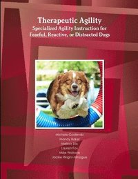 bokomslag Therapeutic Agility