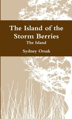 bokomslag The Island of the Storm Berries