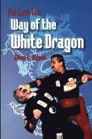 bokomslag Pai Lum Tao - Way of White Dragon