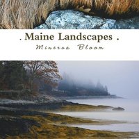 bokomslag Maine Landscapes