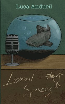 bokomslag Liminal Spaces