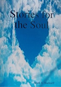 bokomslag Stories for the Soul