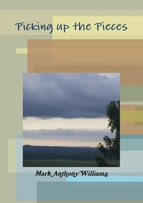 Mark Anthony Williams - Picking Up the Pieces, Häftad