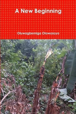 Oluwagbemiga Olowosoyo - New Beginning, Häftad