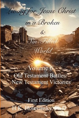 bokomslag Living for Jesus Christ in a Broken and Sin-Filled World