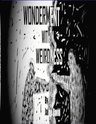 bokomslag Wonderment Within Weirdness
