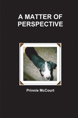 A Matter of Perspective 1