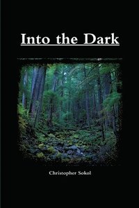 bokomslag Into the Dark