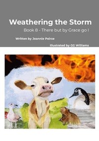 bokomslag Weathering the Storm