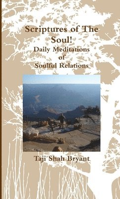 bokomslag Scriptures of the Soul! Daily Meditations of Soulful Relations