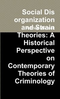 bokomslag Social Disorganization and Strain Theories