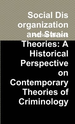 bokomslag Social Disorganization and Strain Theories