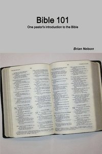 bokomslag Bible 101