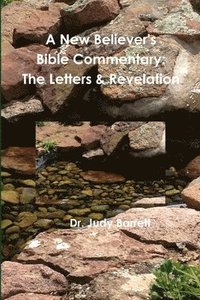 bokomslag A New Believer's Bible Commentary