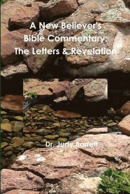 bokomslag New Believer's Bible Commentary