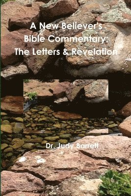 A New Believer's Bible Commentary 1