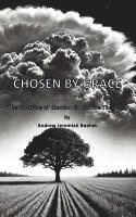 Chosen by Grace: The Doctrine of Election in Pauline Theology 1