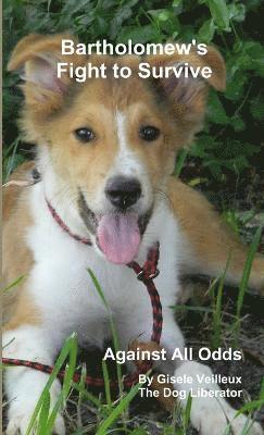 Gisele Veilleux - Against All Odds - Bartholomew's Fight to Survive, Häftad