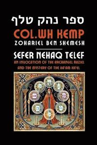 bokomslag Book of Nehaq Telef
