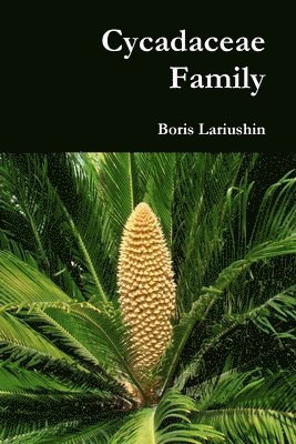 Boris Lariushin - Cycadaceae Family, Häftad